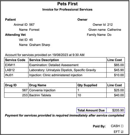 vet invoice template