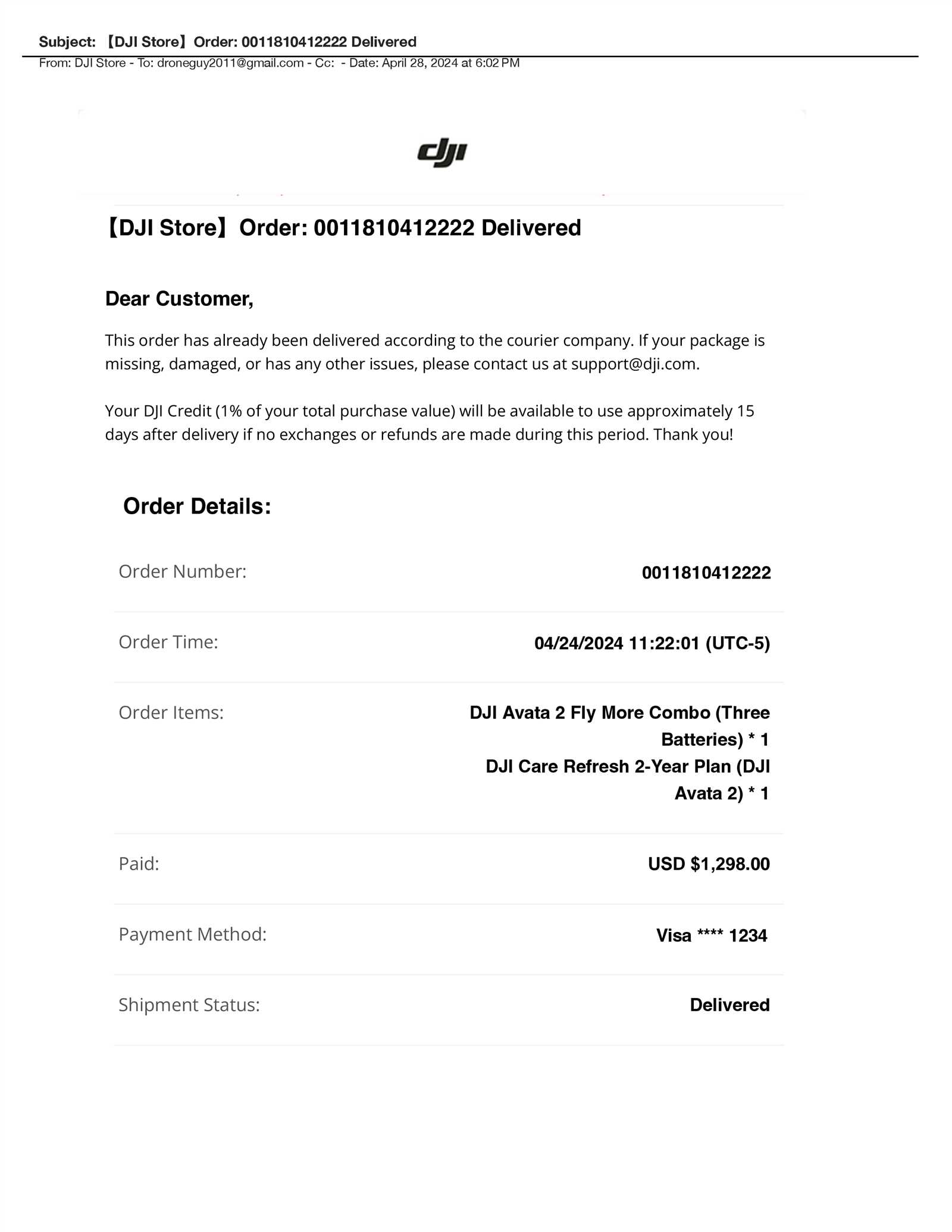 dior invoice template