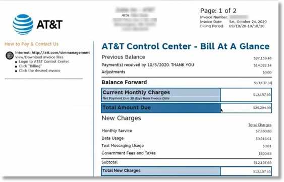 government invoice template