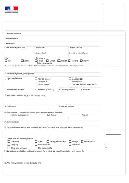 consular invoice template