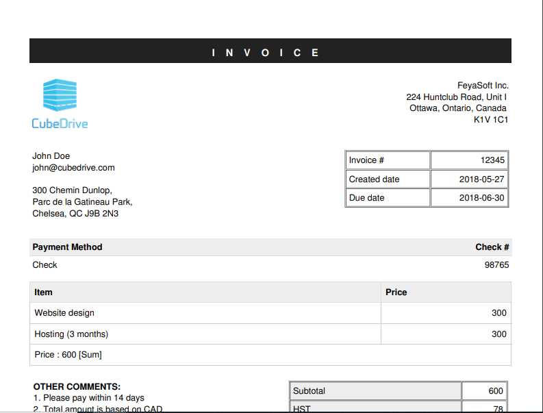 hosting invoice template