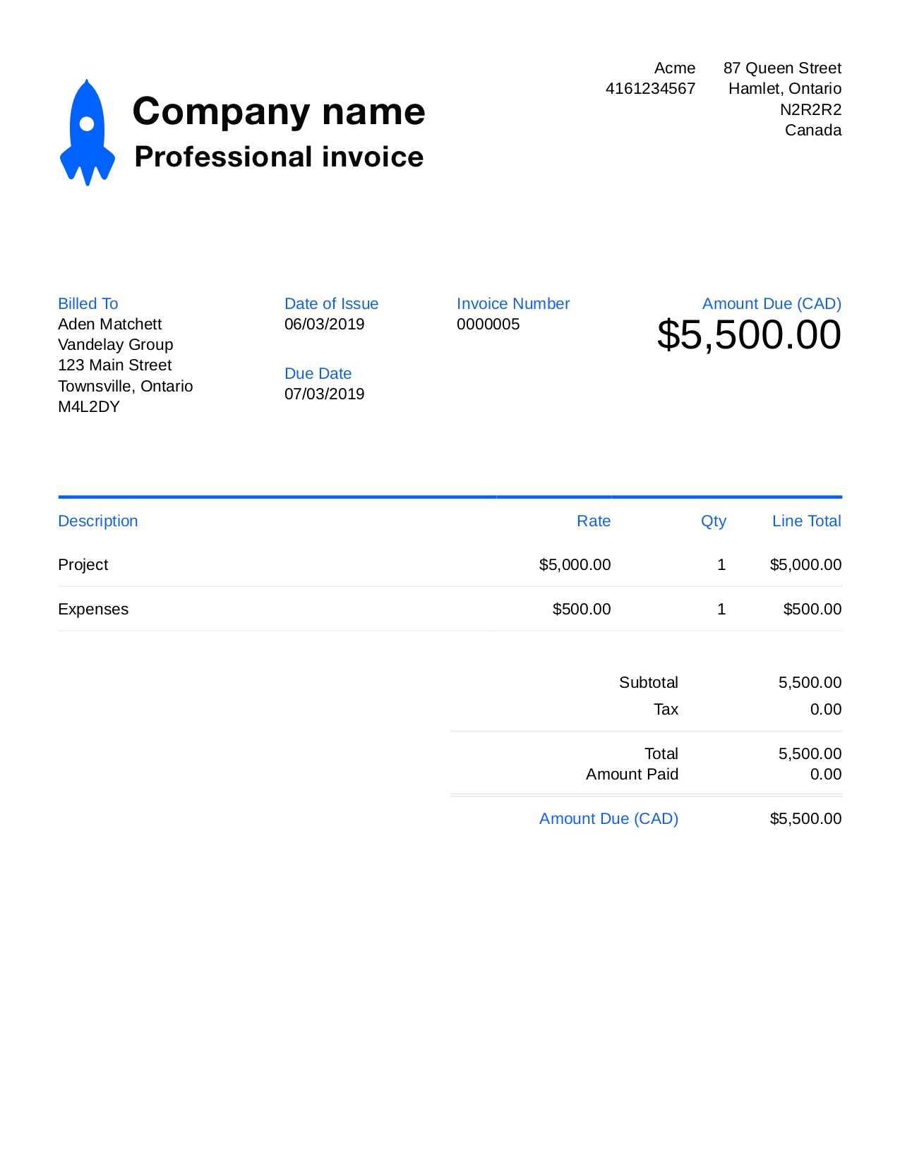 pro invoice template