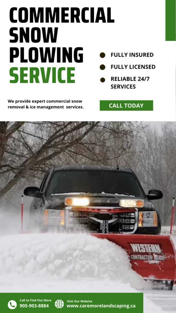 free snow removal invoice template